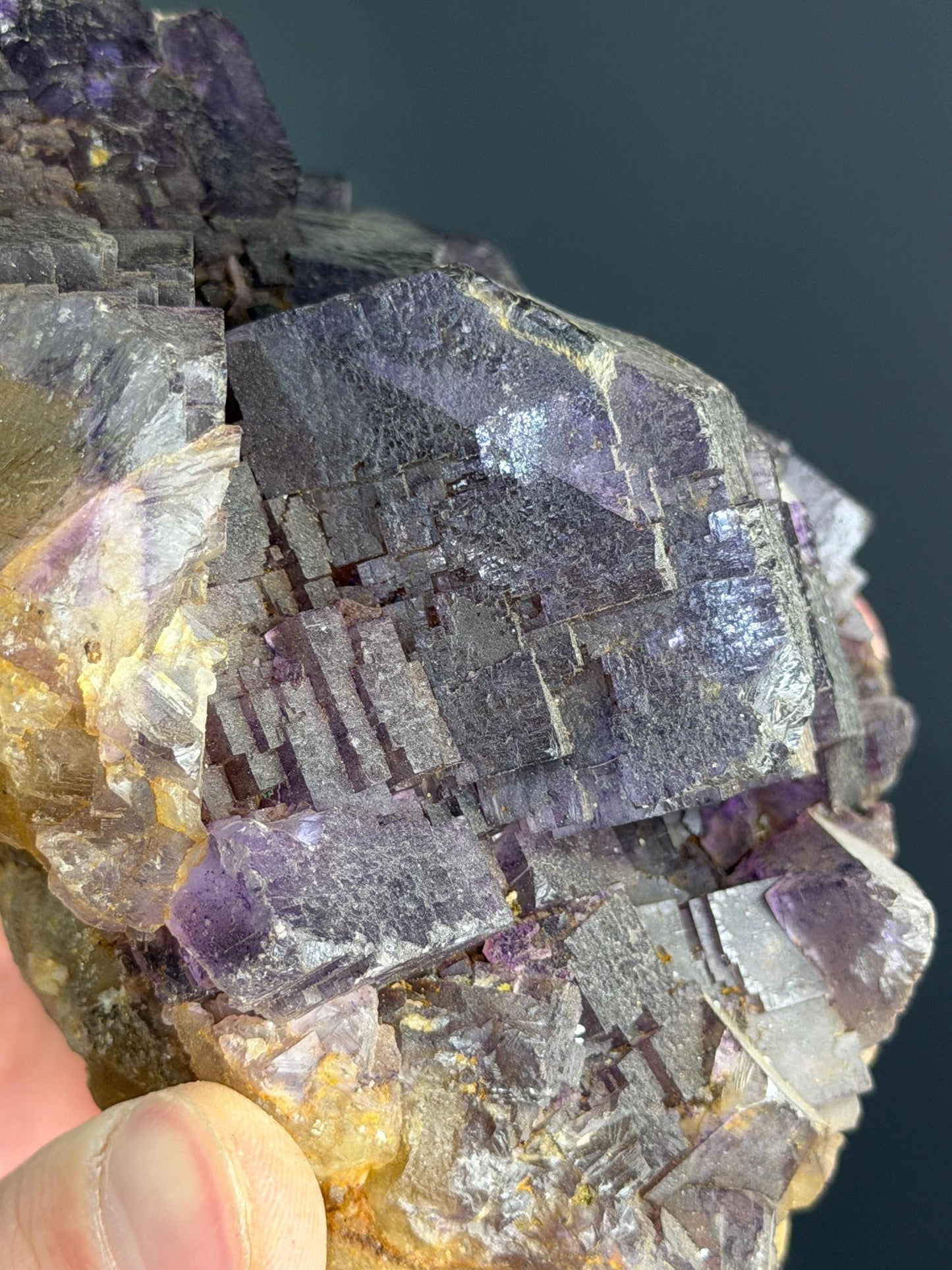 Yellow And Purple Phantom Fluorite