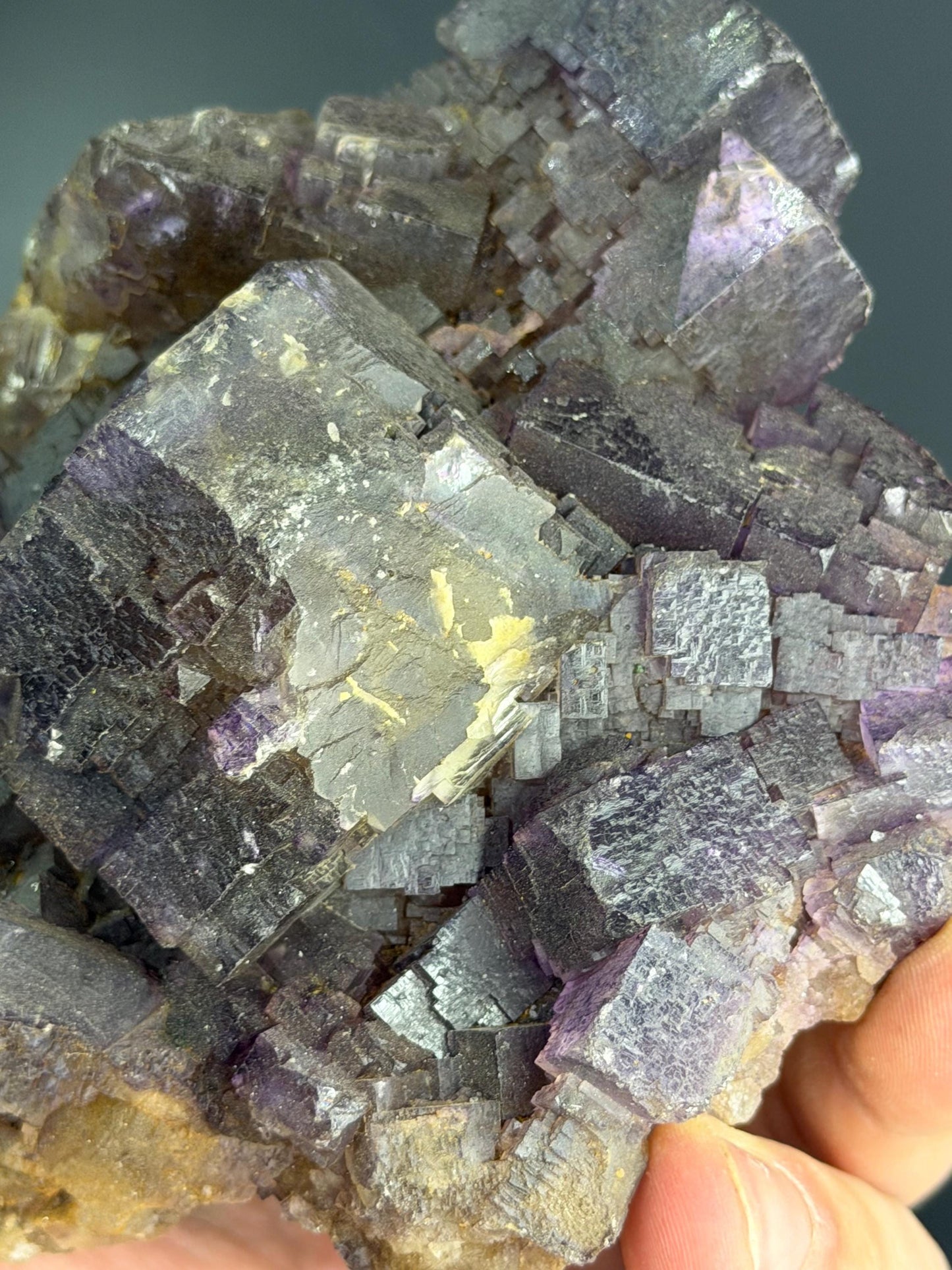 Yellow And Purple Phantom Fluorite