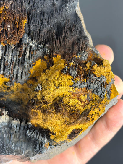 Museum Quality! Limonite And Specularite With Stalactite Goethite, For Special Collection