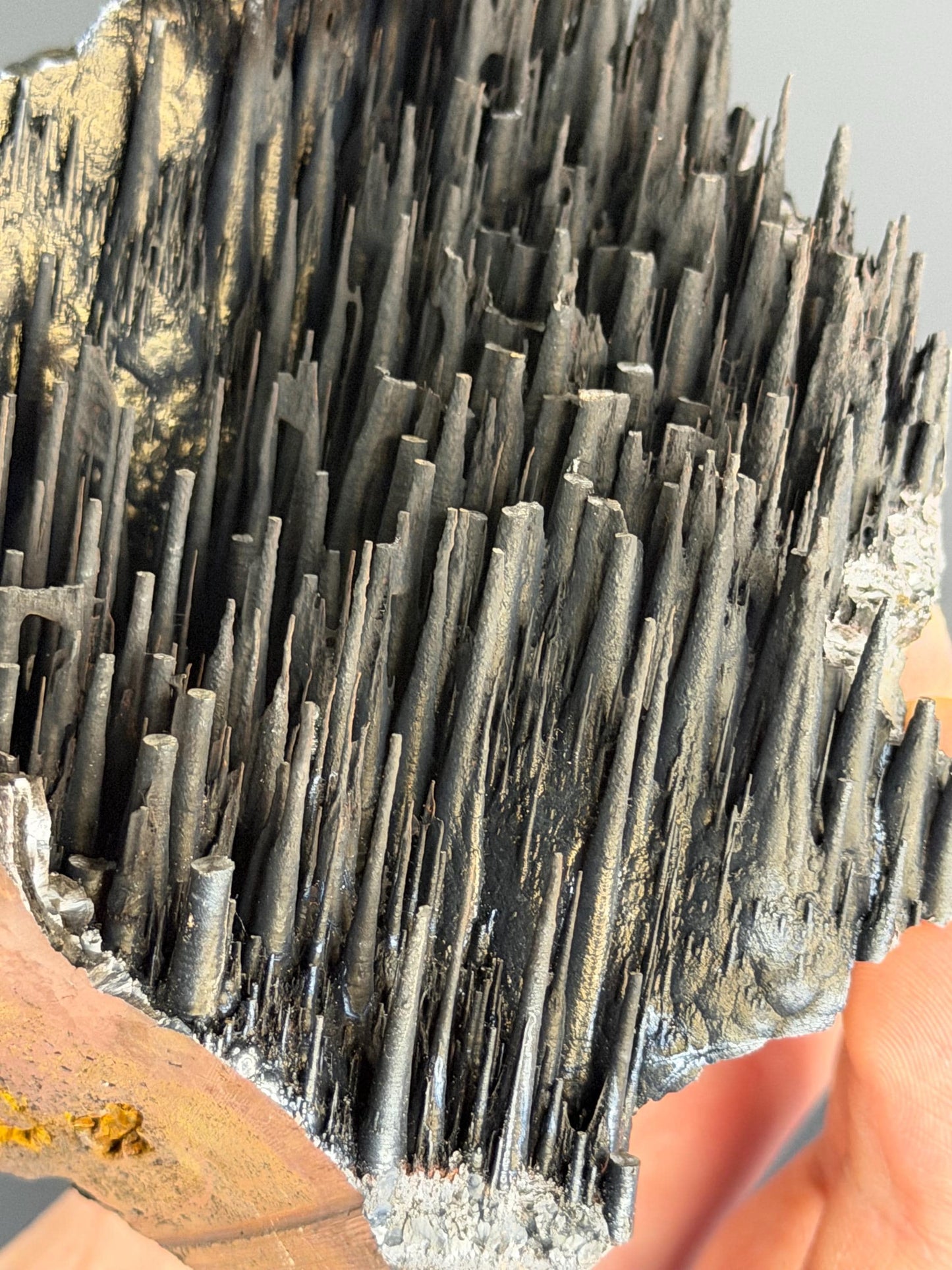 Museum Quality! Stalactite Forest Goethite