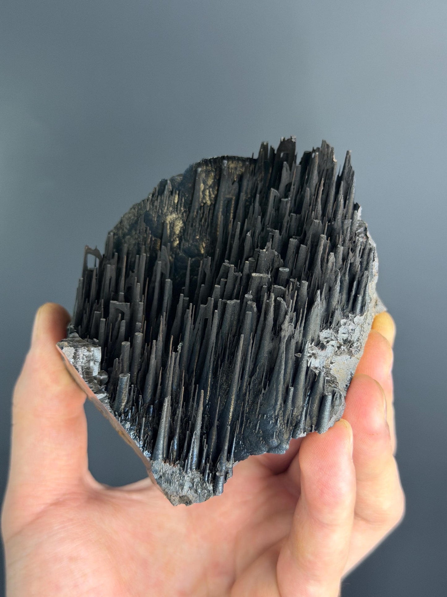 Museum Quality! Stalactite Forest Goethite
