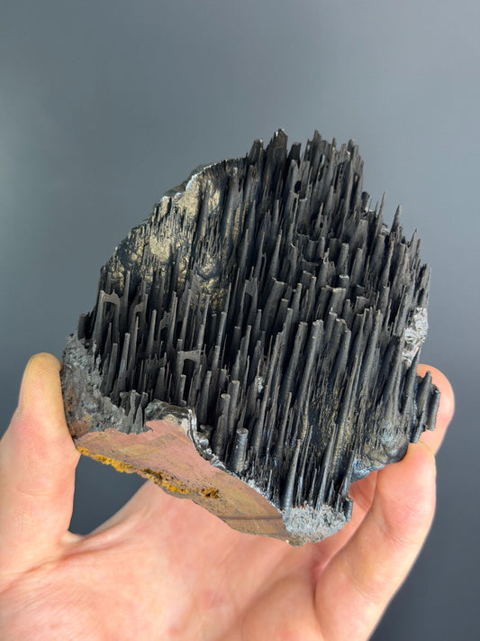 Museum Quality! Stalactite Forest Goethite
