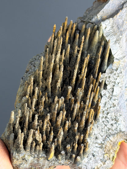 Museum Quality, Limonite With Stalactite Goethite