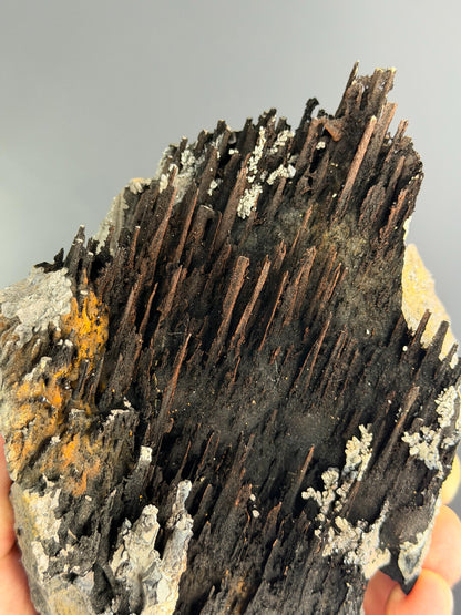 Museum Quality, Limonite And Specularite With Stalactite Goethite