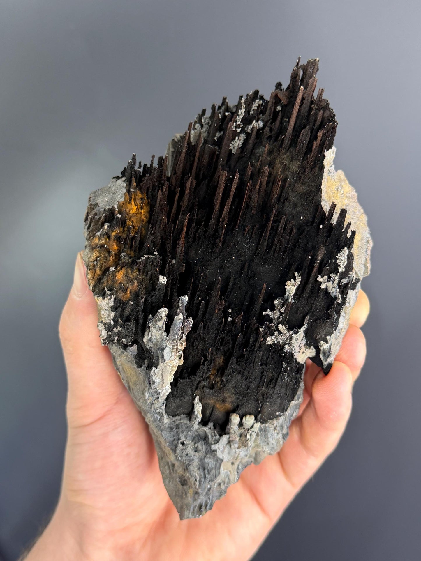 Museum Quality, Limonite And Specularite With Stalactite Goethite