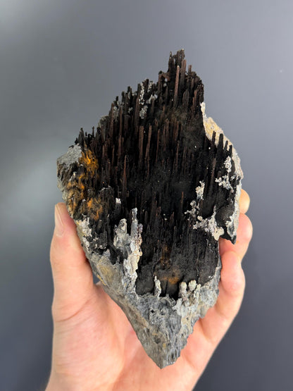Museum Quality, Limonite And Specularite With Stalactite Goethite
