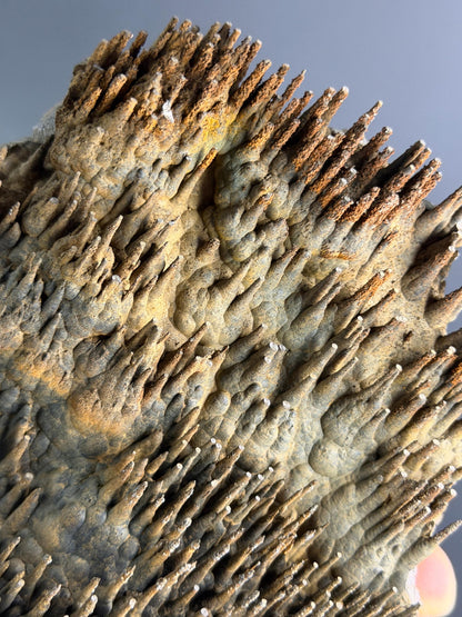Showy Museum Quality, Limonite With Stalactite Goethite