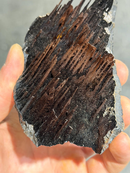 Museum Quality! Specularite And Limonite With Stalactite Goethite