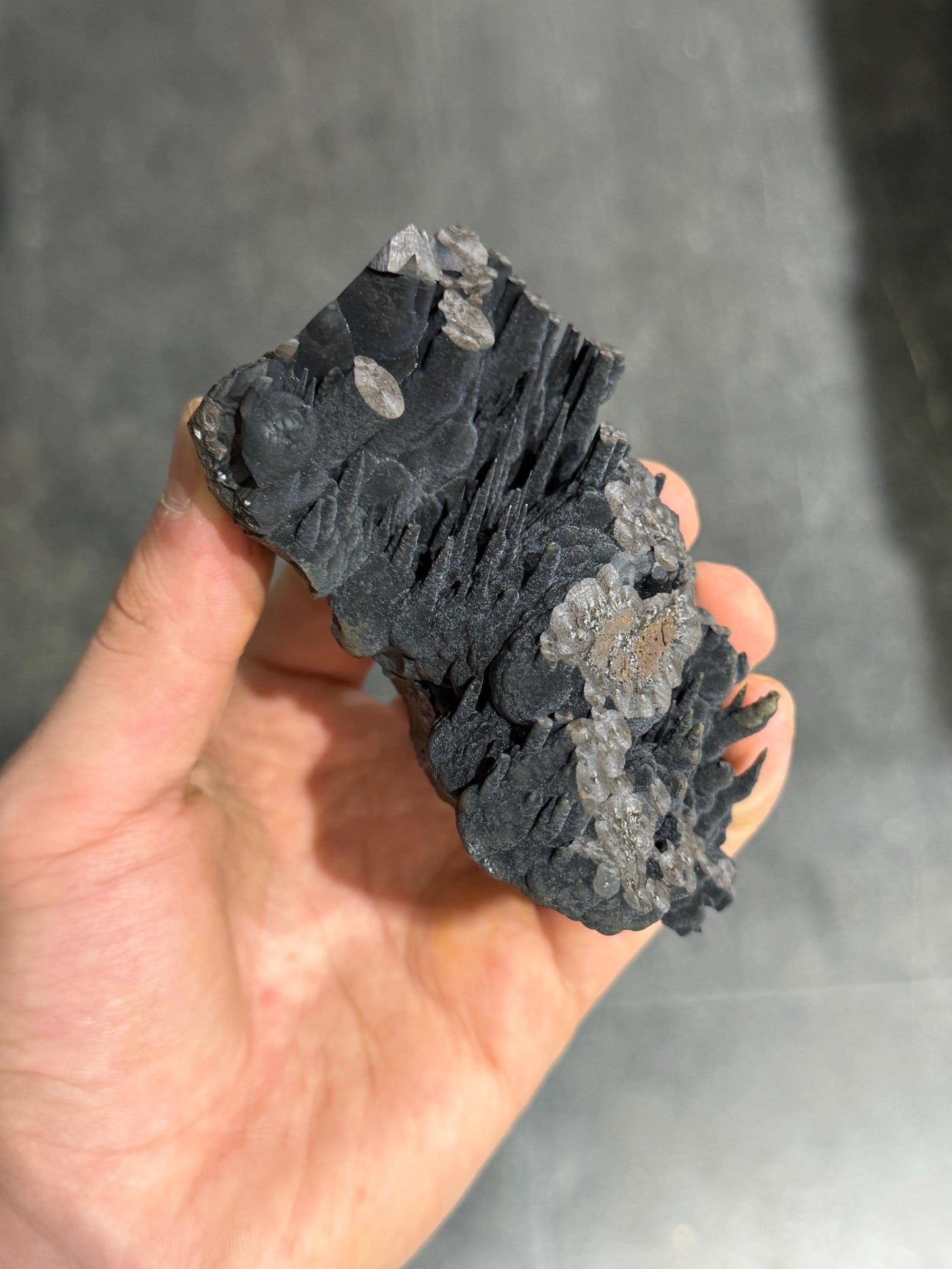 Very Showy! Velvet Stalactite Goethite Mineral