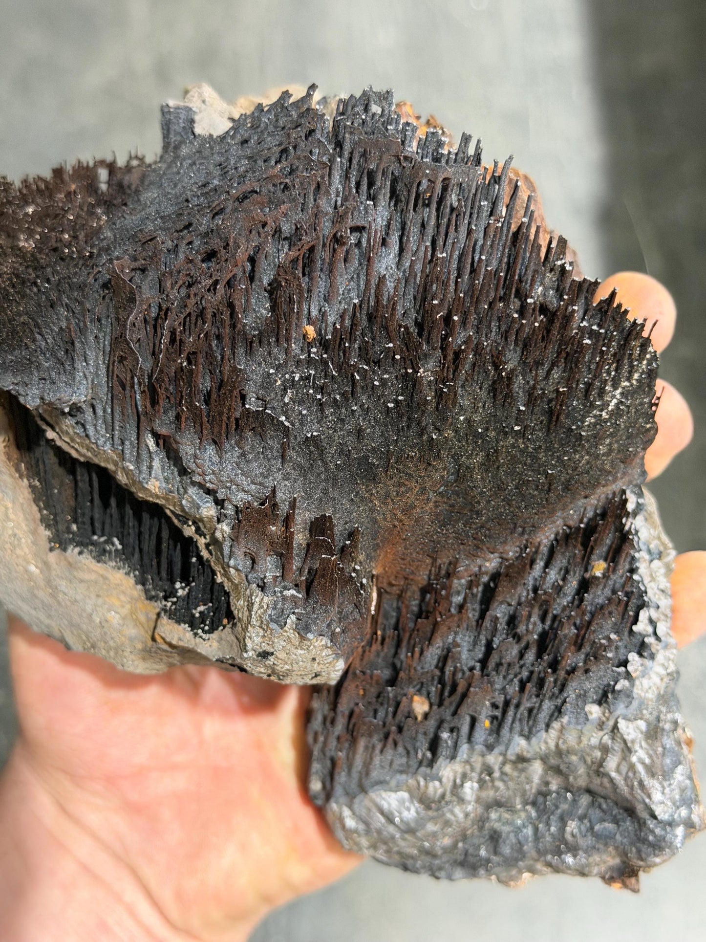 Museum Quality! Very Showy Limonite And Specularite With Stalactite Goethite Mineral