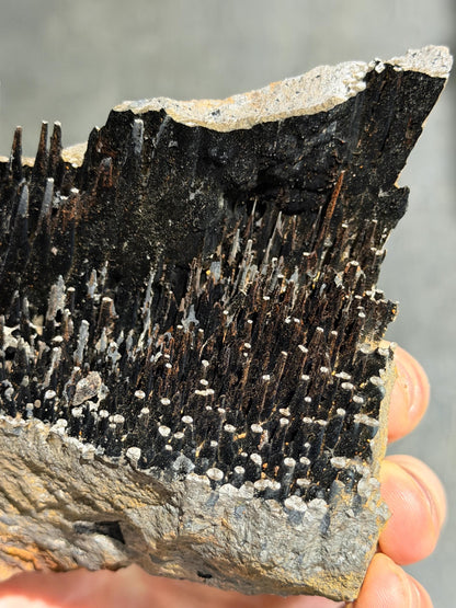 Very Showy! Limonite And Specularite With Stalactite Goethite