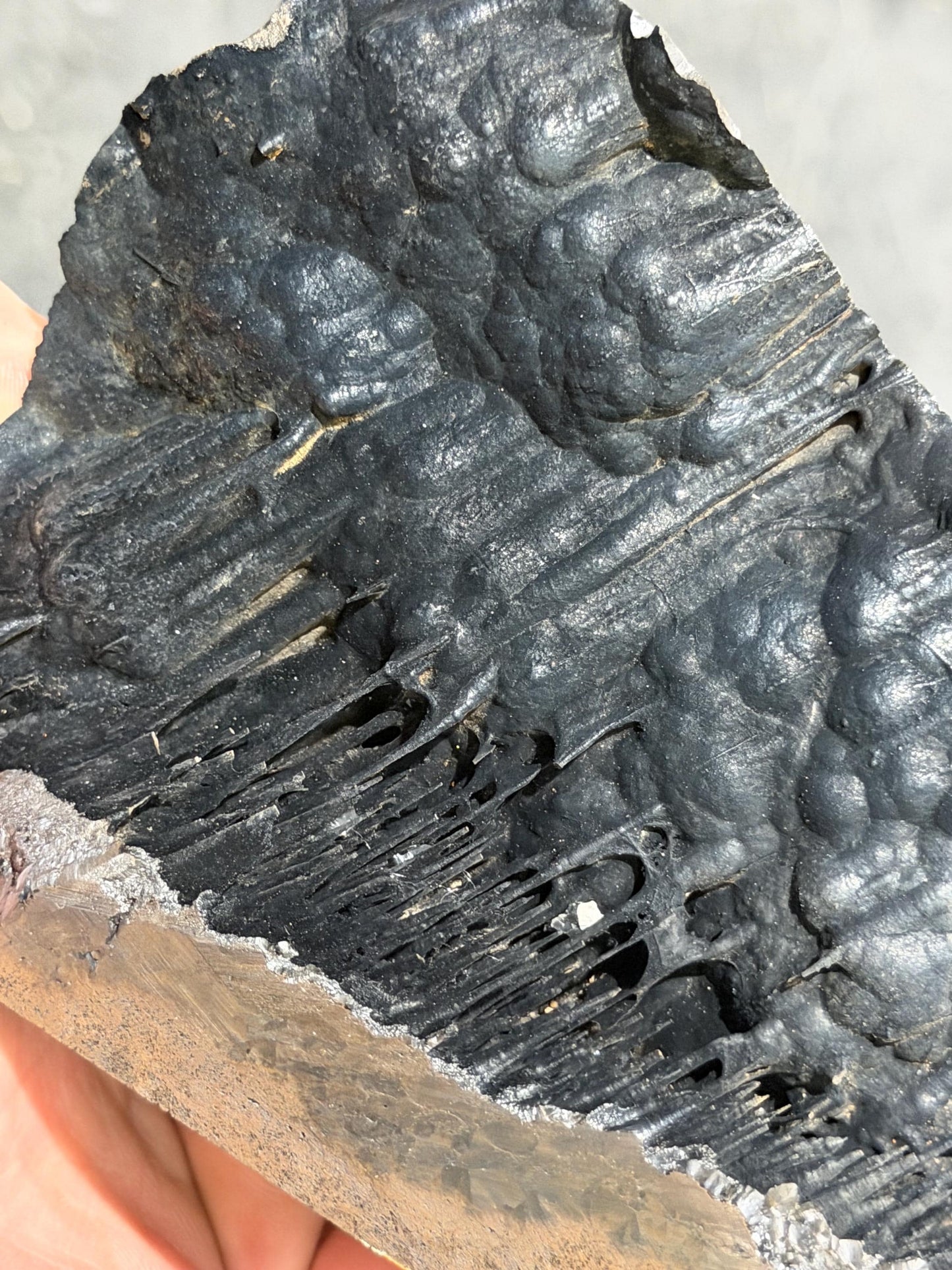 Highest Quality Very Showy Stalactite Goethite Mineral