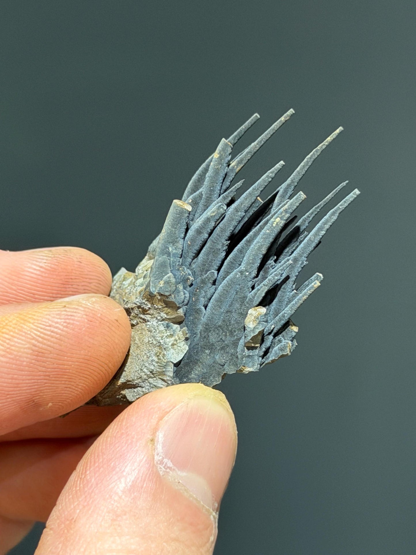 Very Special!! Very Showy Velvet Stalactite Goethite, Unique Formation