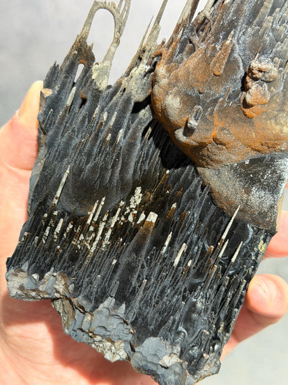 Super Rare! Very Showy Limonite With Velvet Stalactite Goethite, Special Collector Item