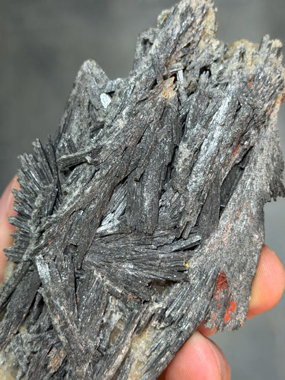 Gray Kyanite Specimen