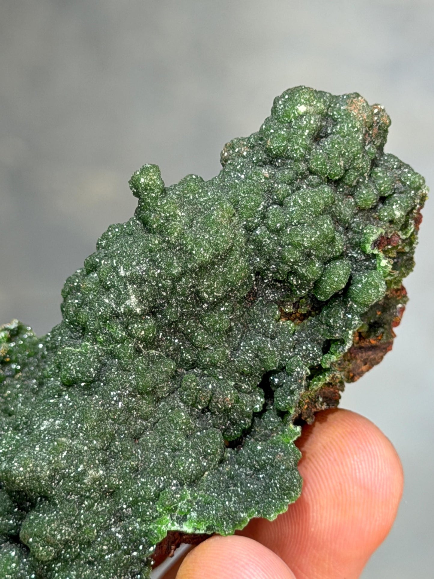 The Collector Grade Conichalcite Specimen