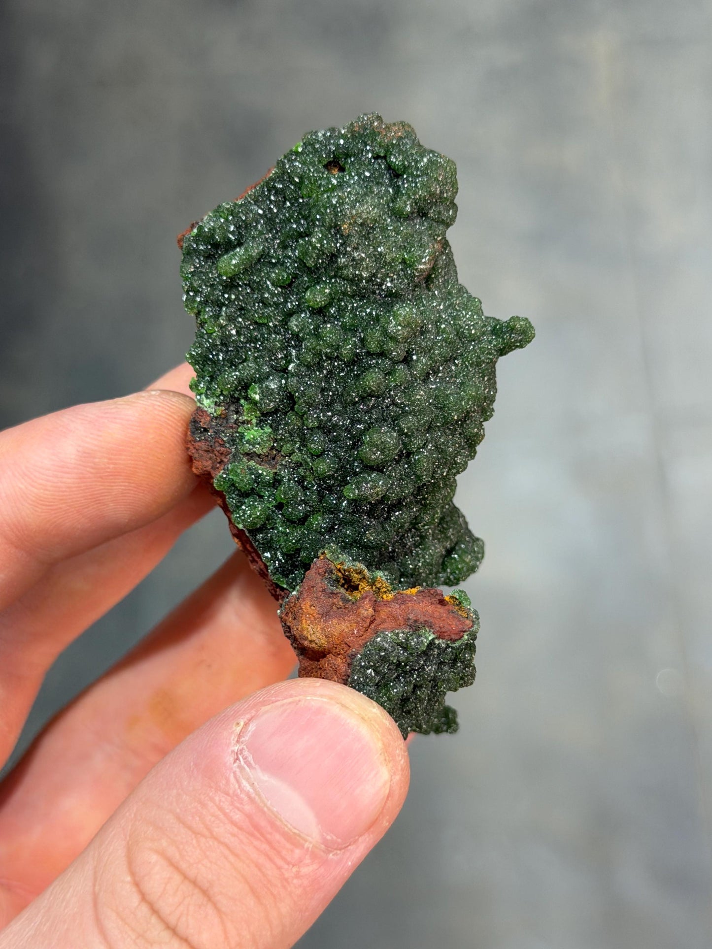 The Collector Grade Conichalcite Specimen