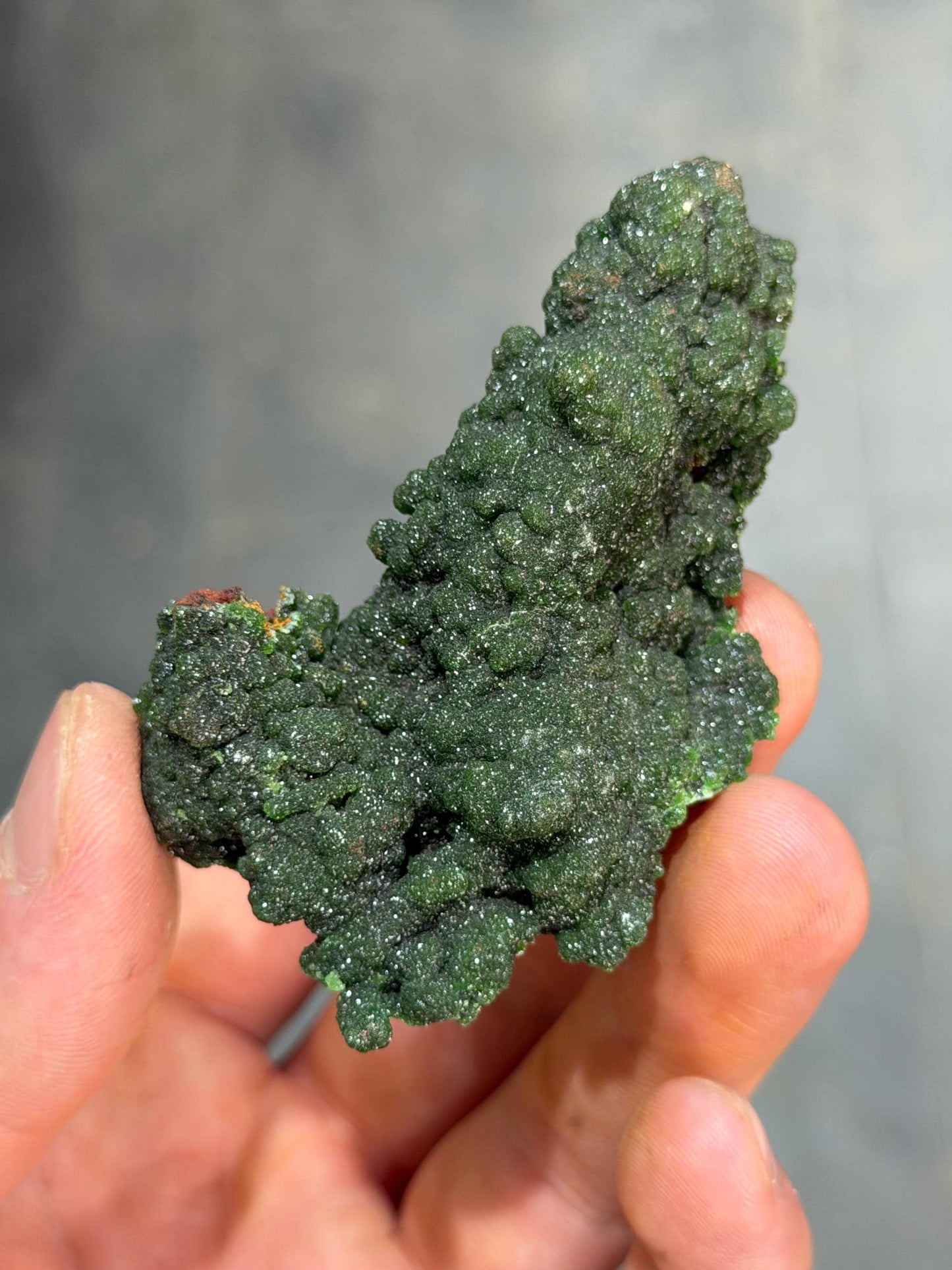 The Collector Grade Conichalcite Specimen