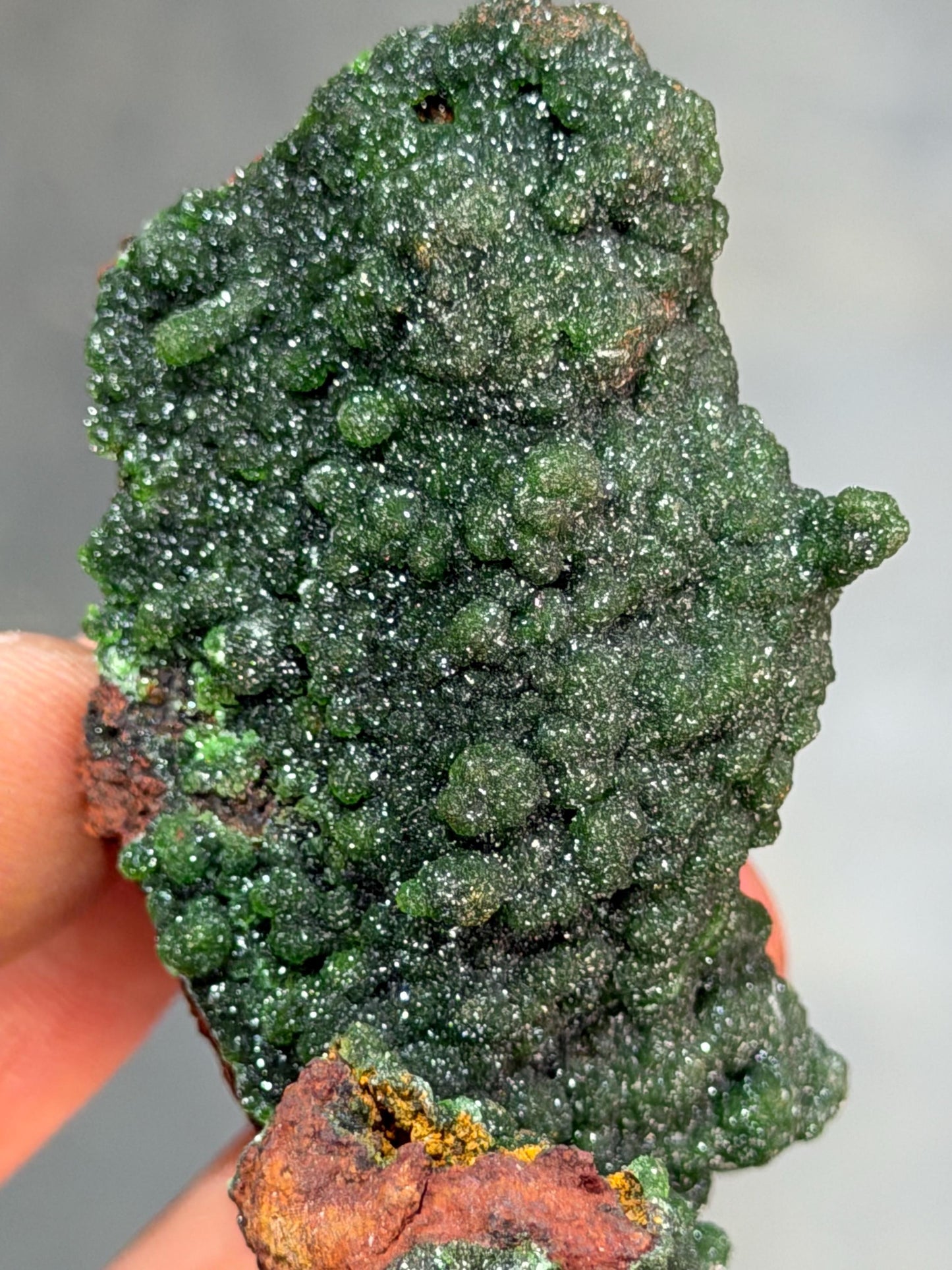 The Collector Grade Conichalcite Specimen