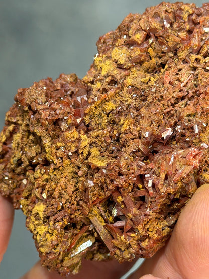 Collector Grade Crocoite Specimen
