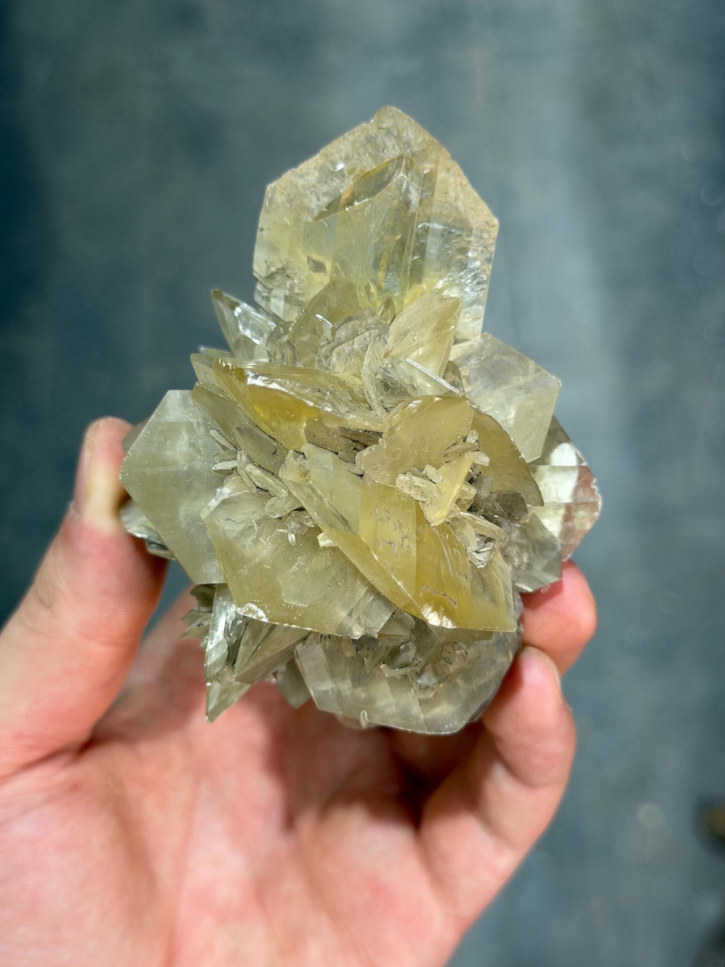 Selenite Rose Crystal