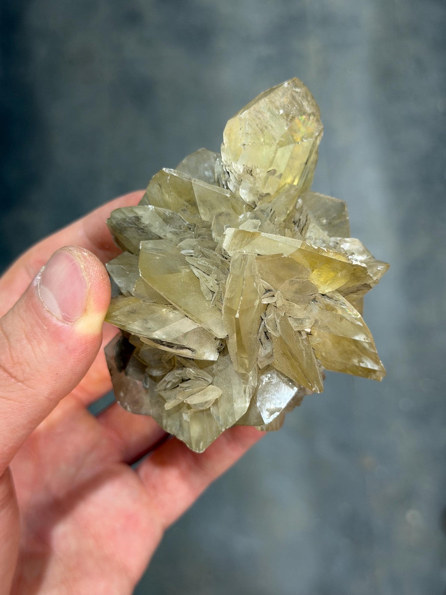 Selenite Rose Crystal