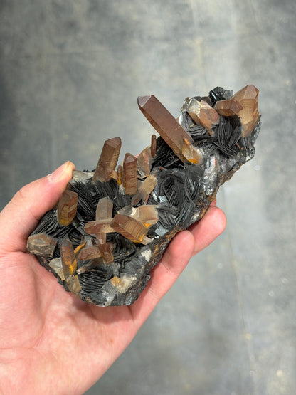 Super Special! Hematite And Quartz Specimen