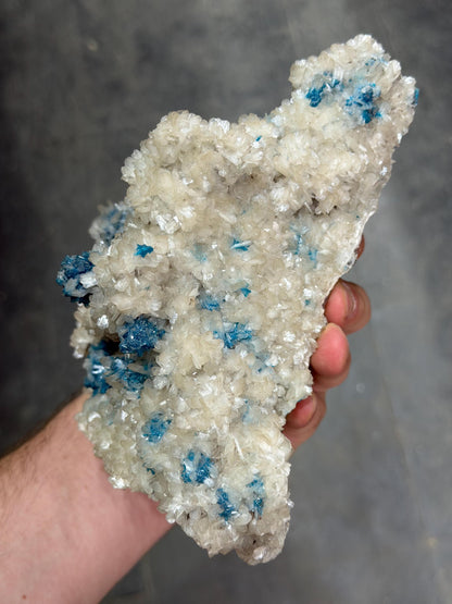 Museum Quality, Cavansite On Stilbite