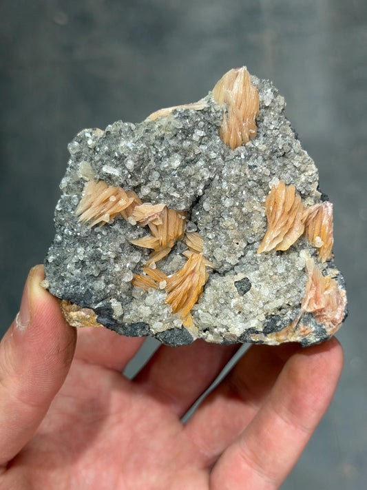 Barite With Calcite Specimen