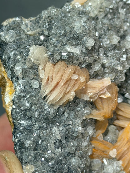 Barite With Calcite Specimen