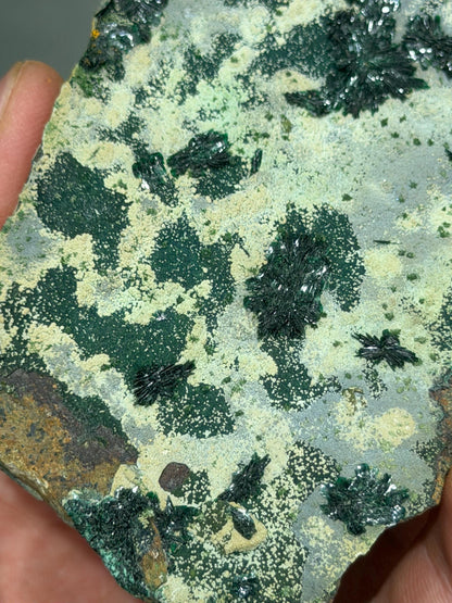 Atacamite Crystal Specimen