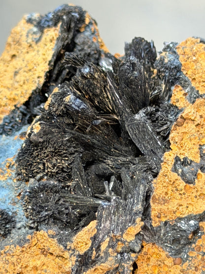 Special Vivianite Specimen