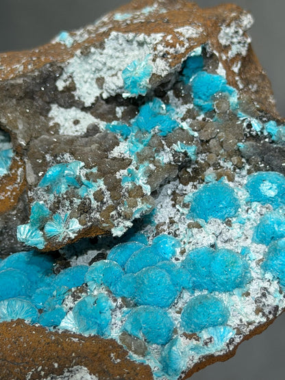 Museum Quality, Showy Aurichalcite Specimen
