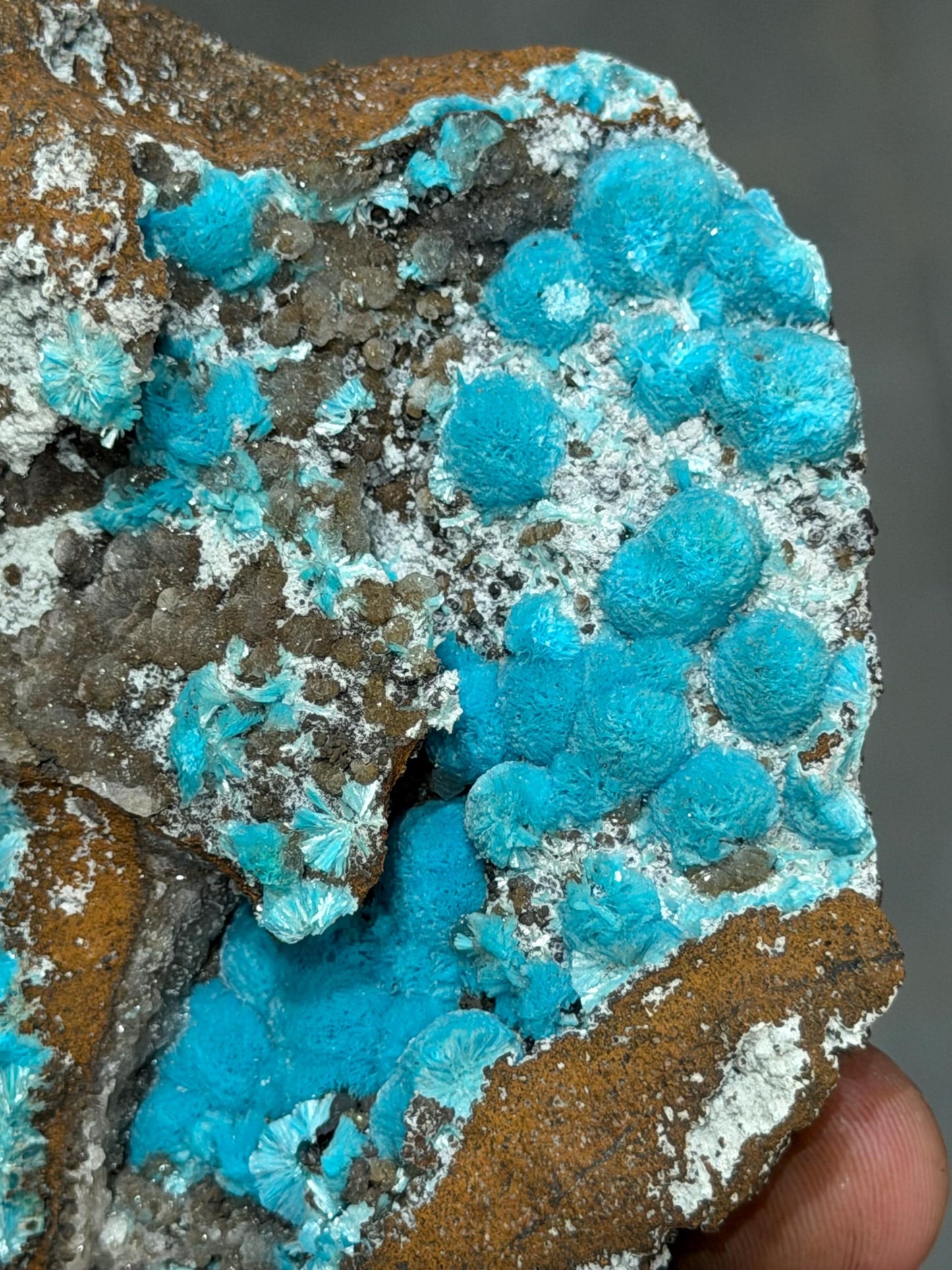 Museum Quality, Showy Aurichalcite Specimen