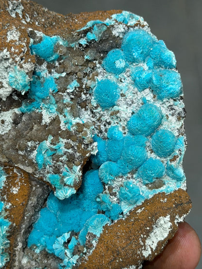Museum Quality, Showy Aurichalcite Specimen