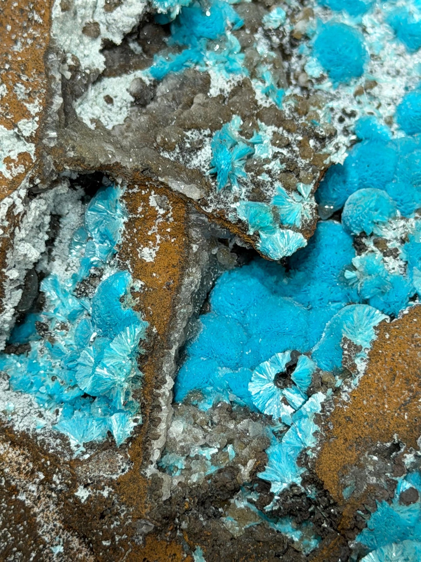 Museum Quality, Showy Aurichalcite Specimen
