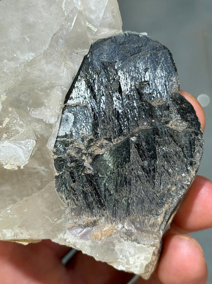 Black Tourmaline With Quartz