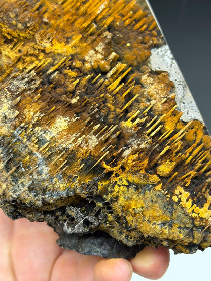 Museum Stone! Very Showy Limonite With Stalactite Goethite, For Special Collection