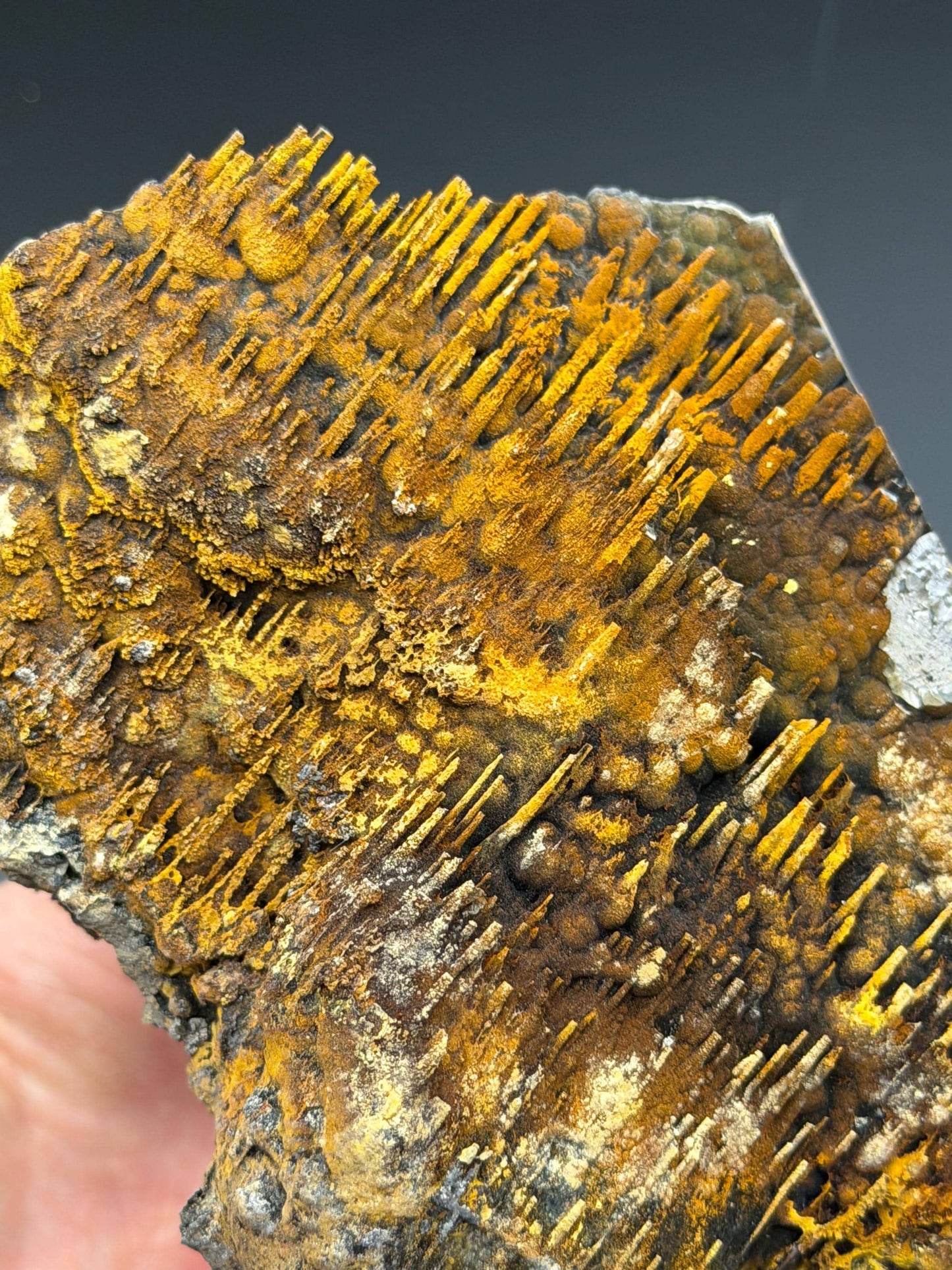 Museum Stone! Very Showy Limonite With Stalactite Goethite, For Special Collection