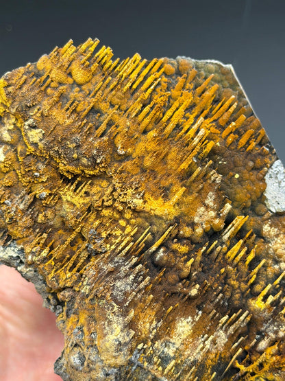 Museum Stone! Very Showy Limonite With Stalactite Goethite, For Special Collection