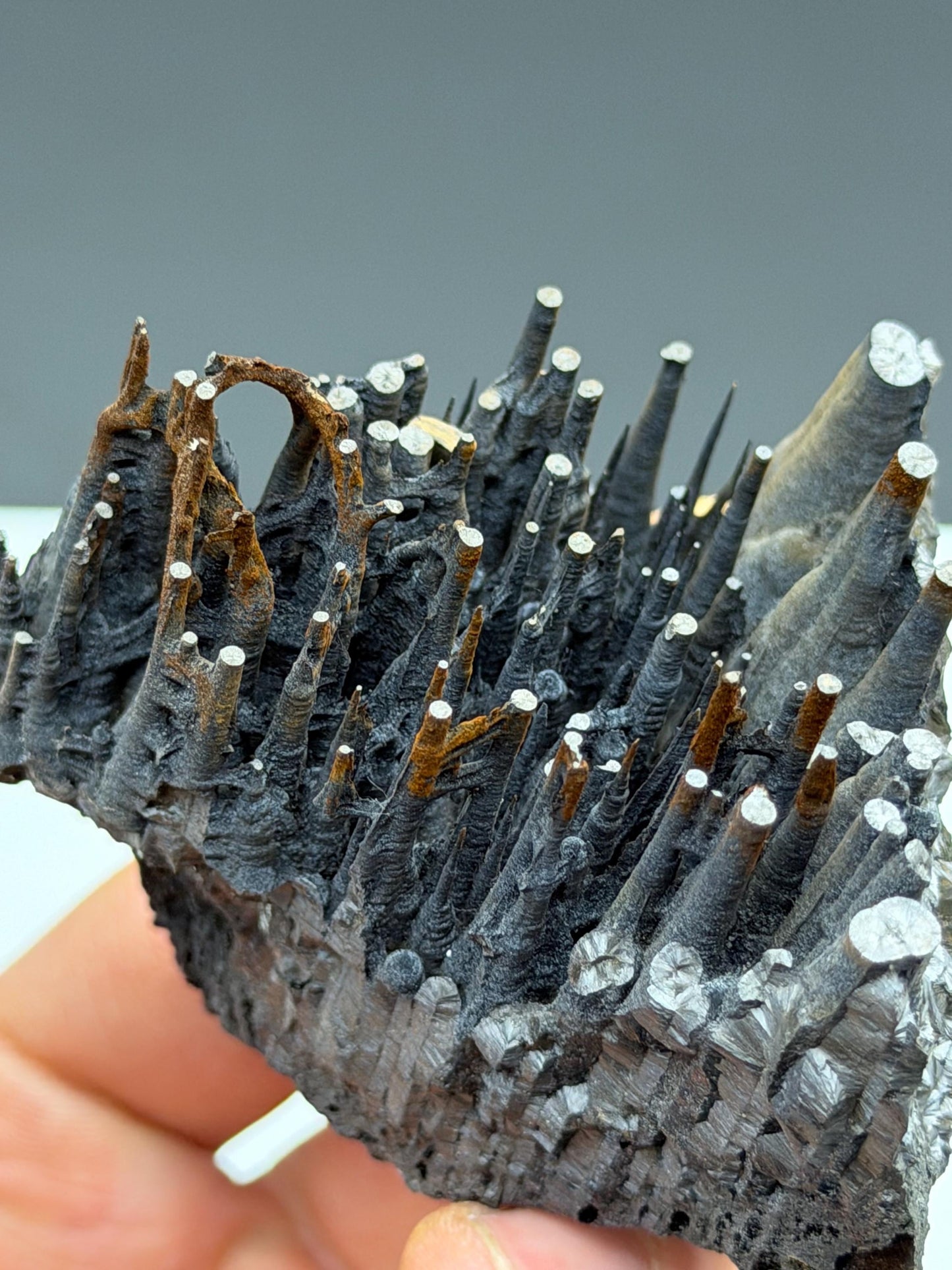 Museum Quality!! Limonite With Velvet Bridge Formation Stalactite Goethite