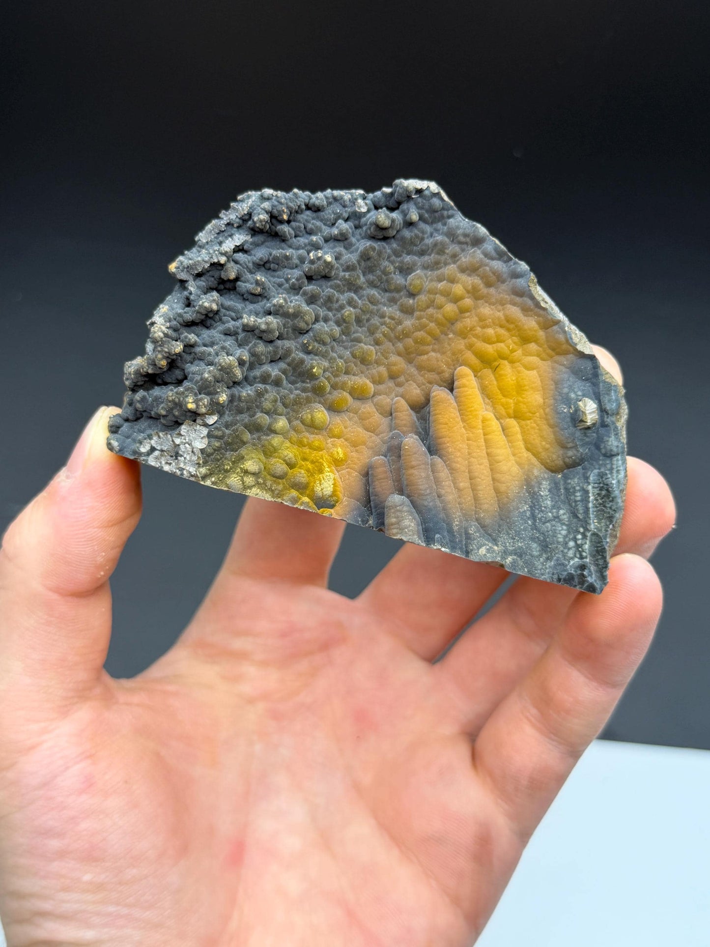 Museum Quality, Limonite With Velvet Stalactite Goethite