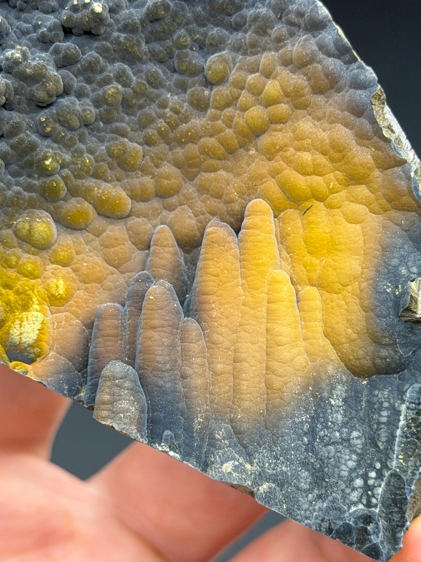 Museum Quality, Limonite With Velvet Stalactite Goethite