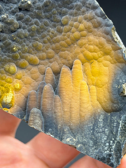 Museum Quality, Limonite With Velvet Stalactite Goethite