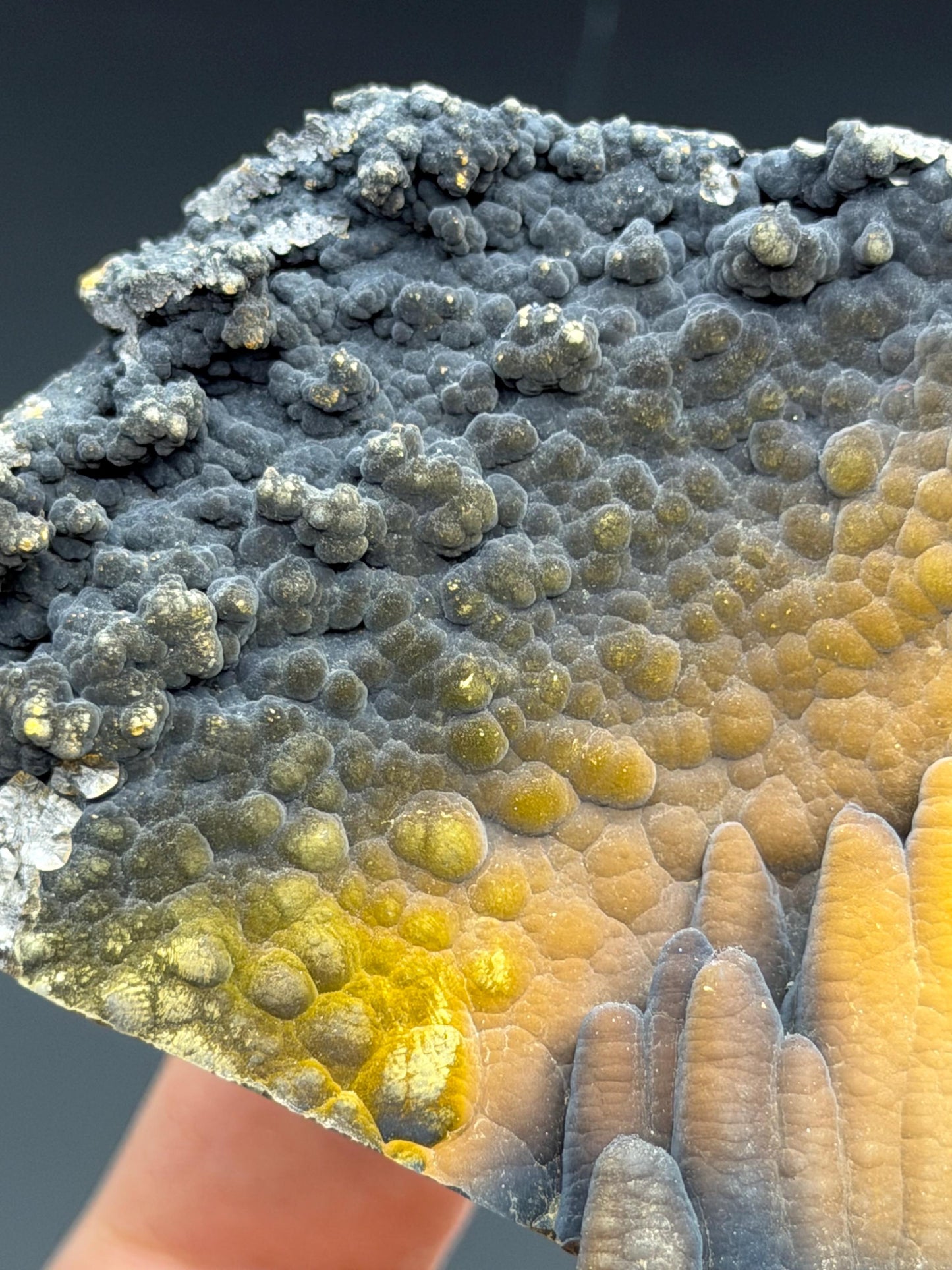 Museum Quality, Limonite With Velvet Stalactite Goethite