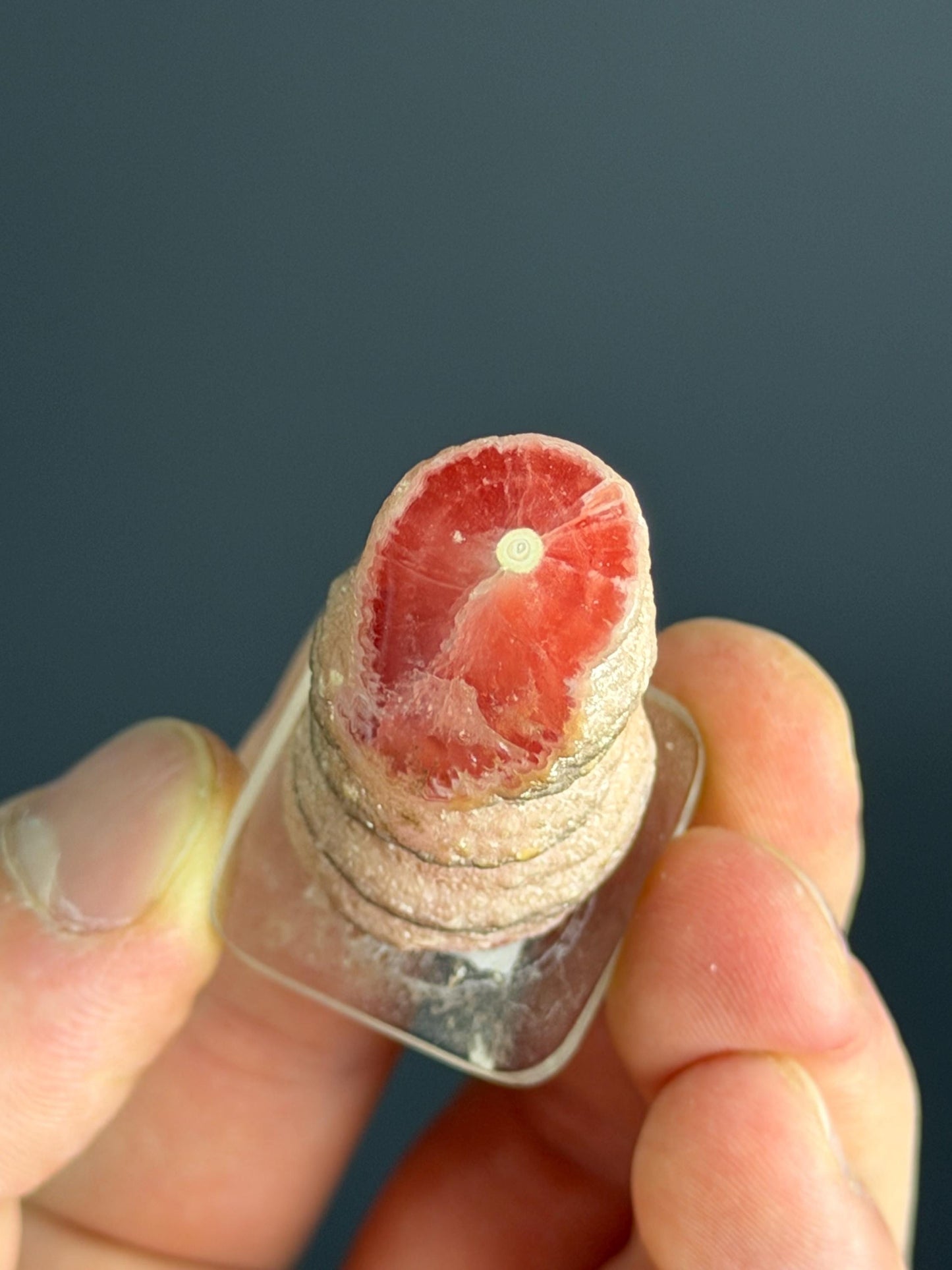 RARE! Rhodochrosite Specimen