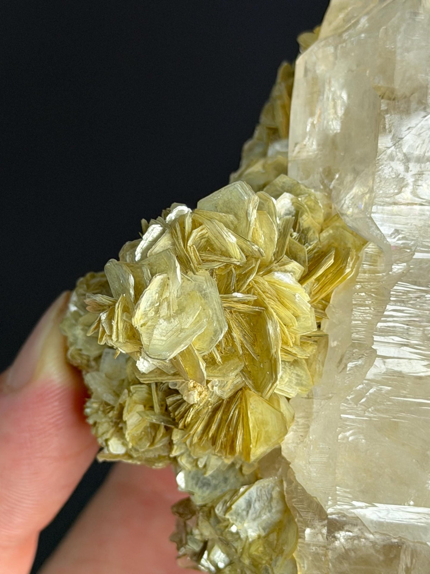 Apatite Mica Quartz