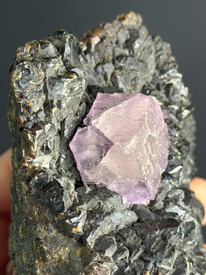 Sphalerite With Pink Cubic Fluorite