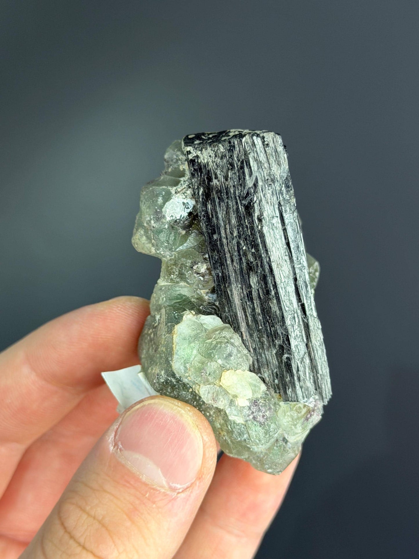 Fluorite On Tourmaline