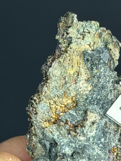 Leaf Silver Specimen